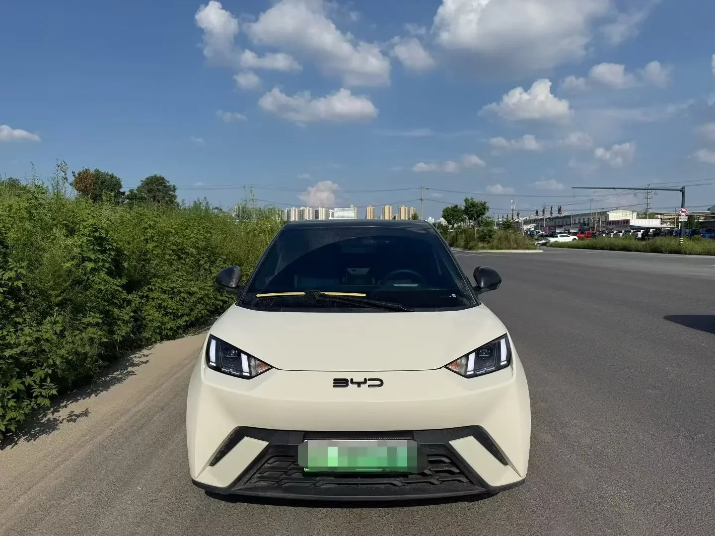 BYD seagull