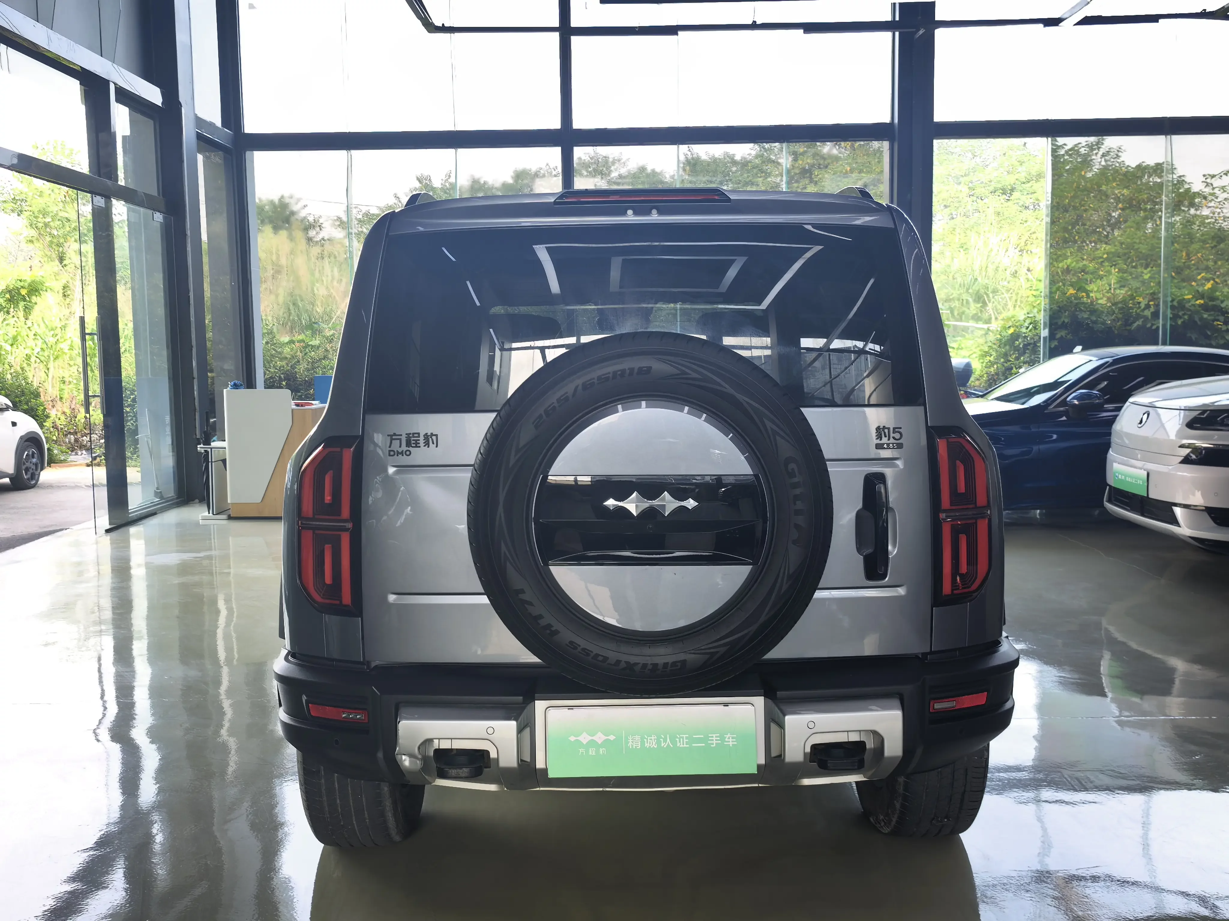 BYD Leopard Leopard 5