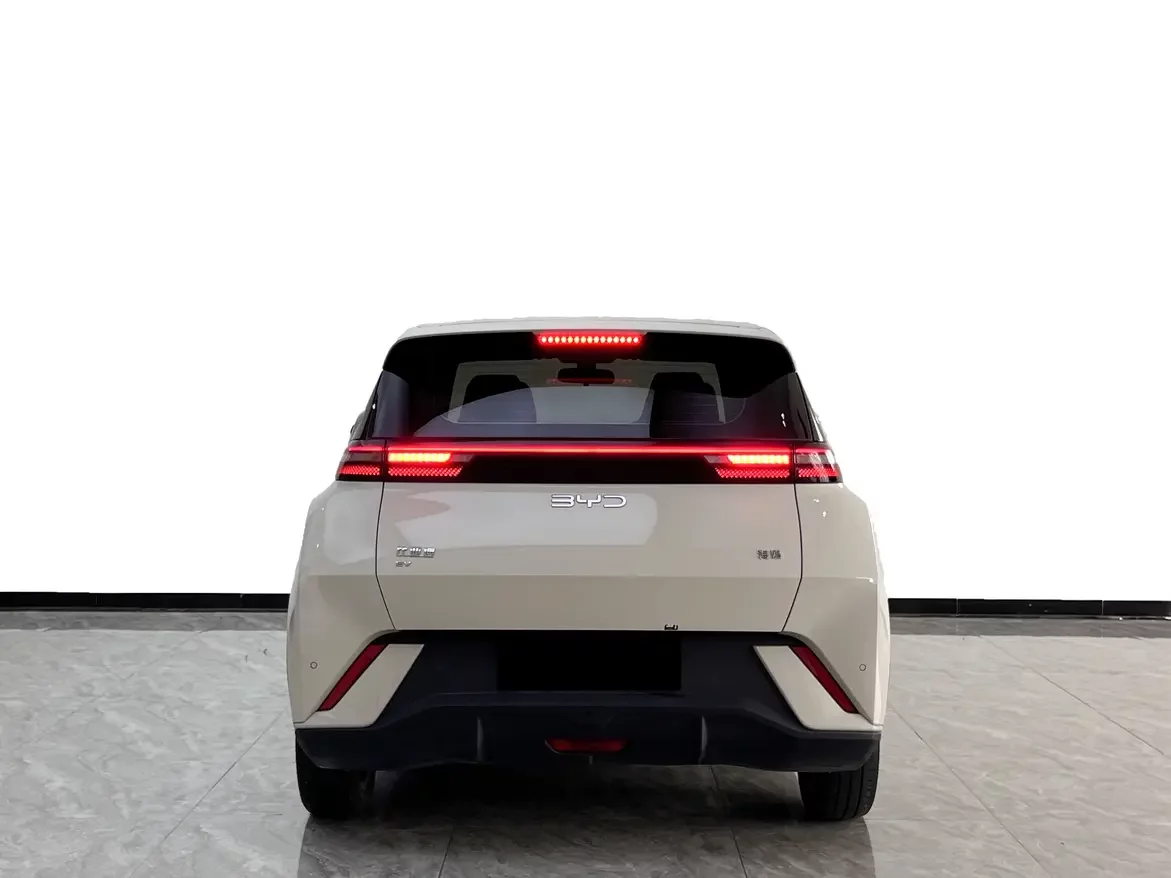 BYD seagull