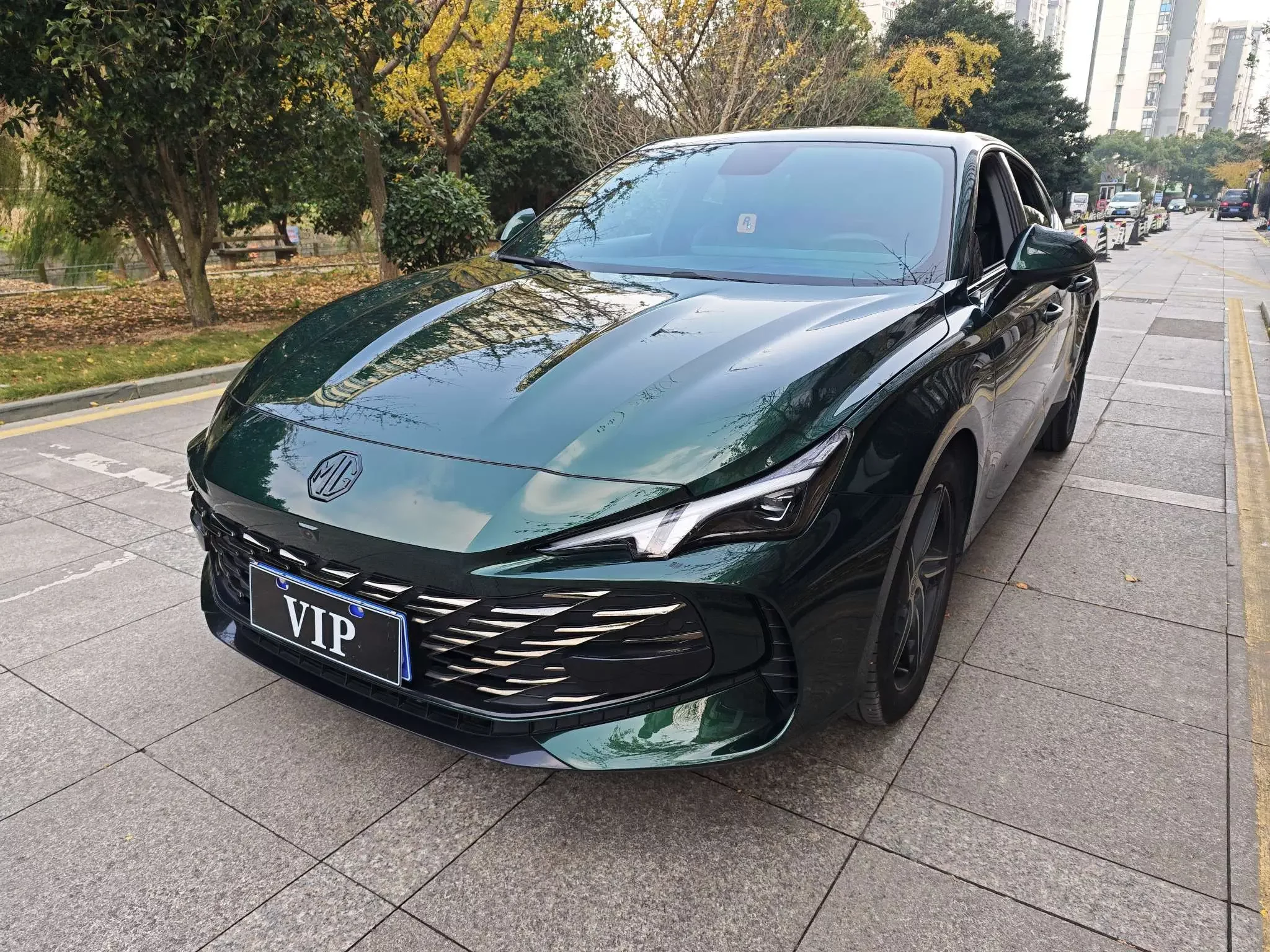 MG 7