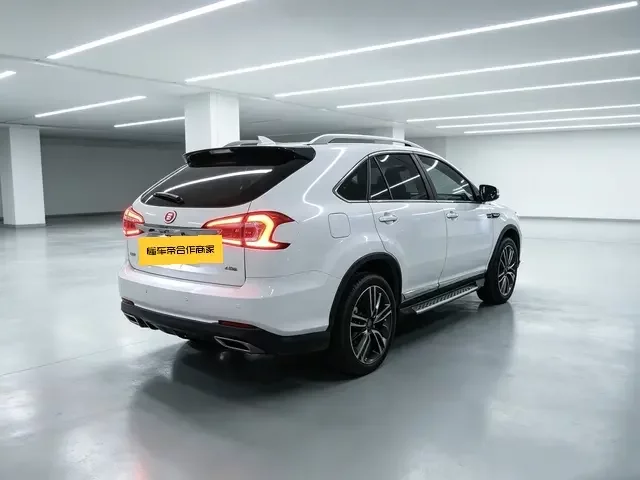 BYD Tang DM