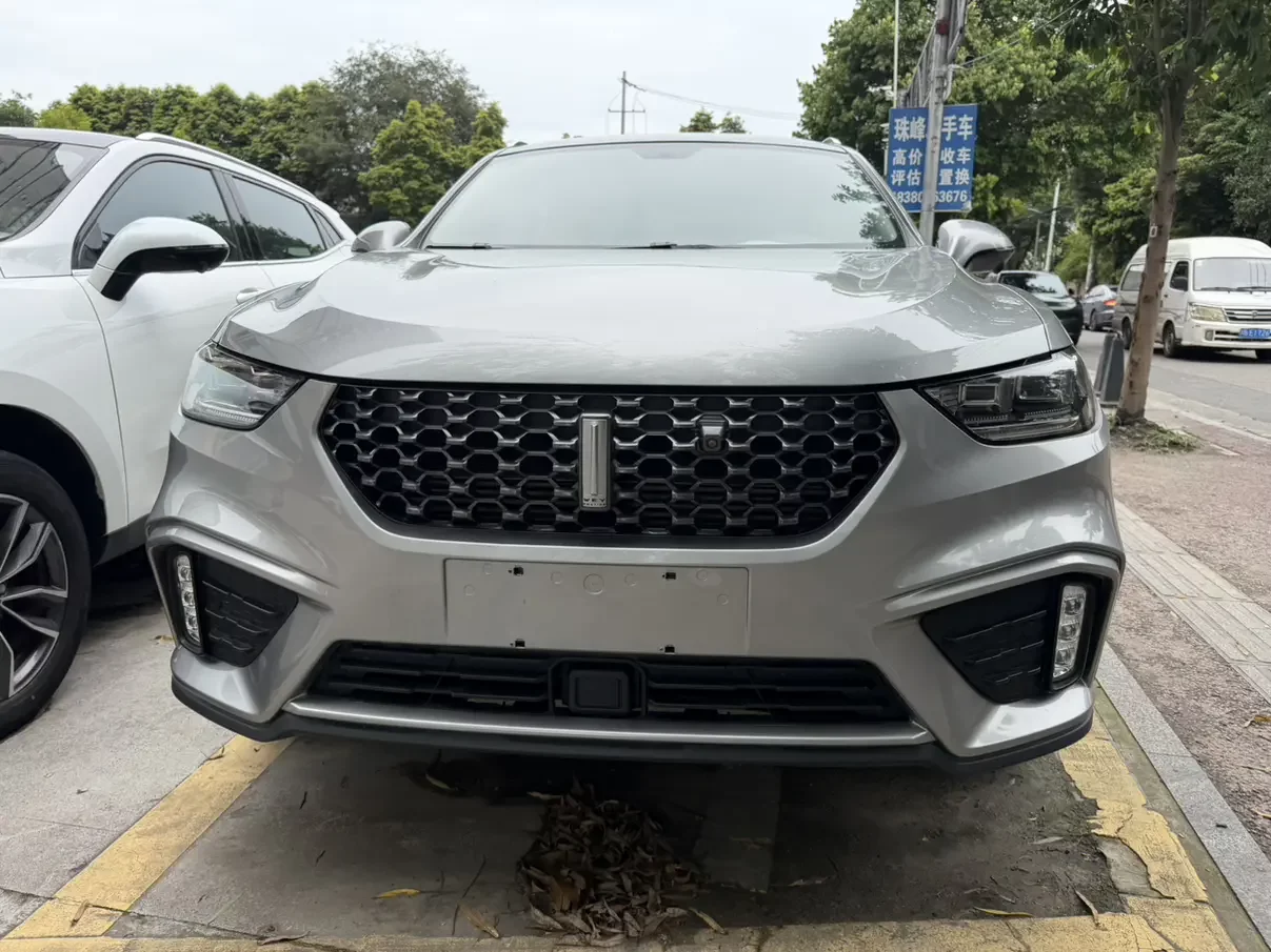 Wey Wei brand VV5