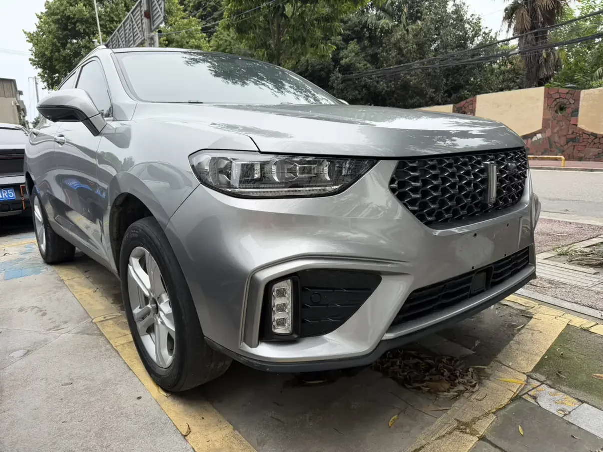 Wey Wei brand VV5