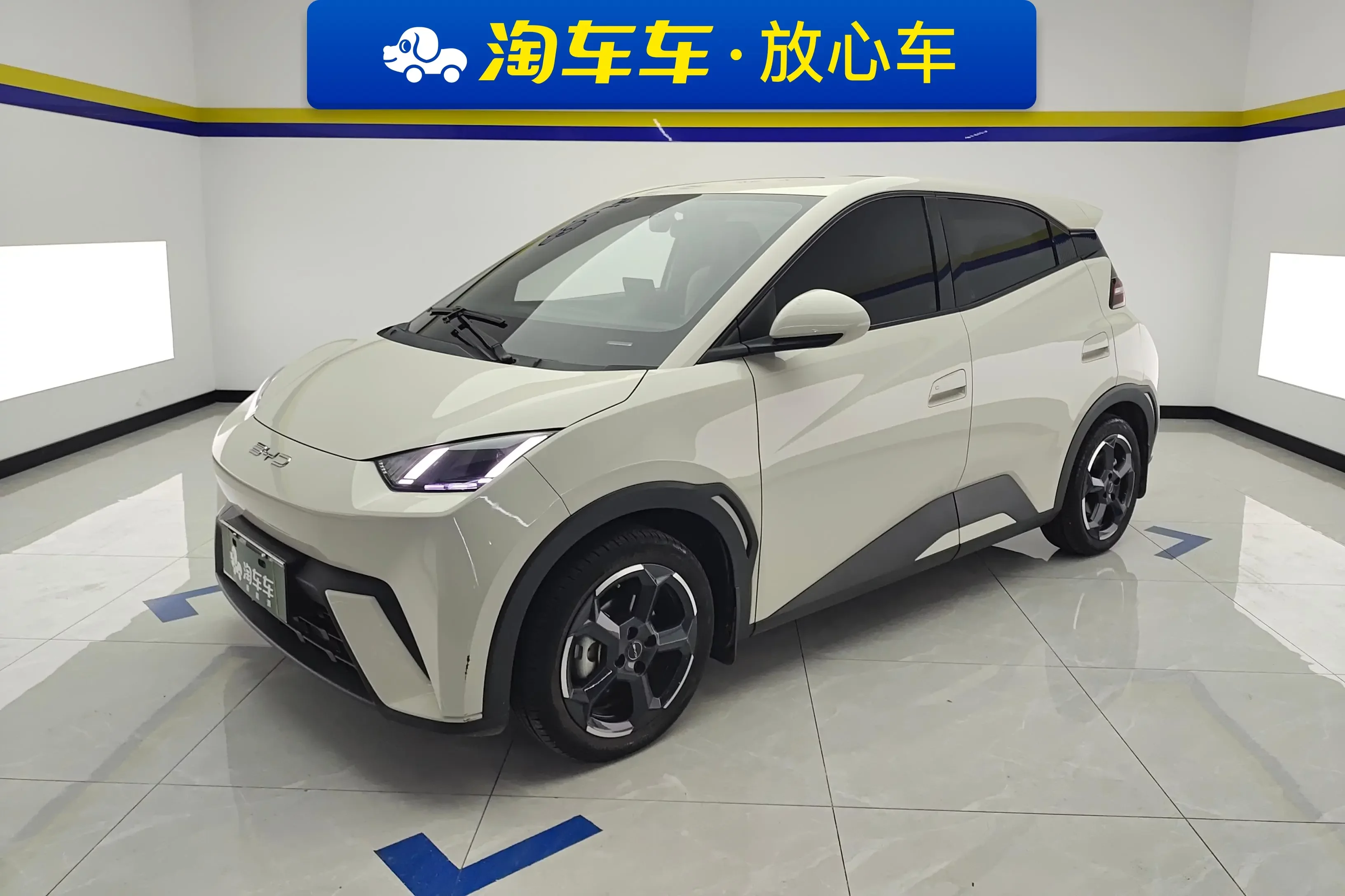 BYD seagull