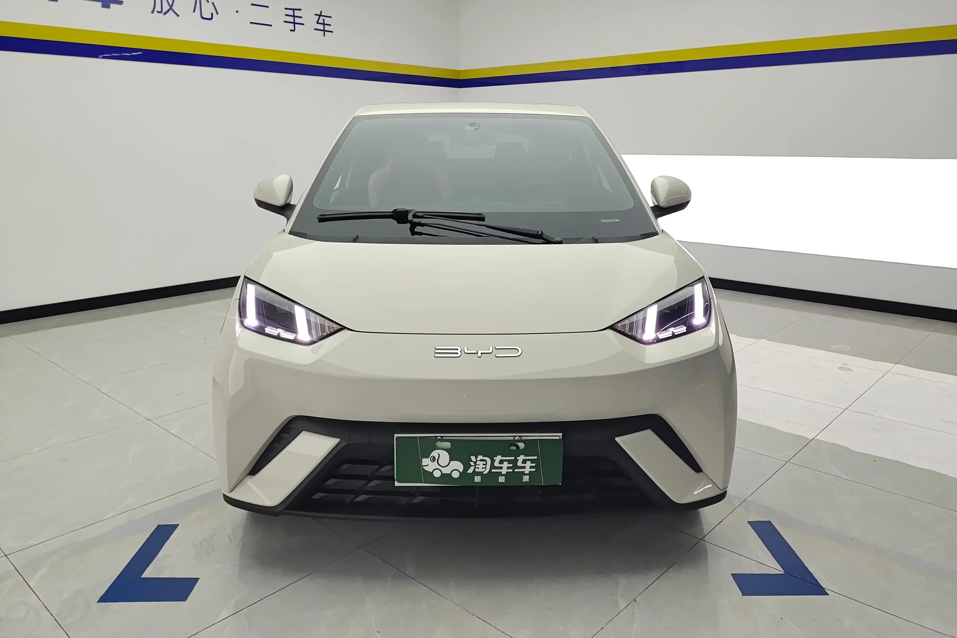 BYD seagull
