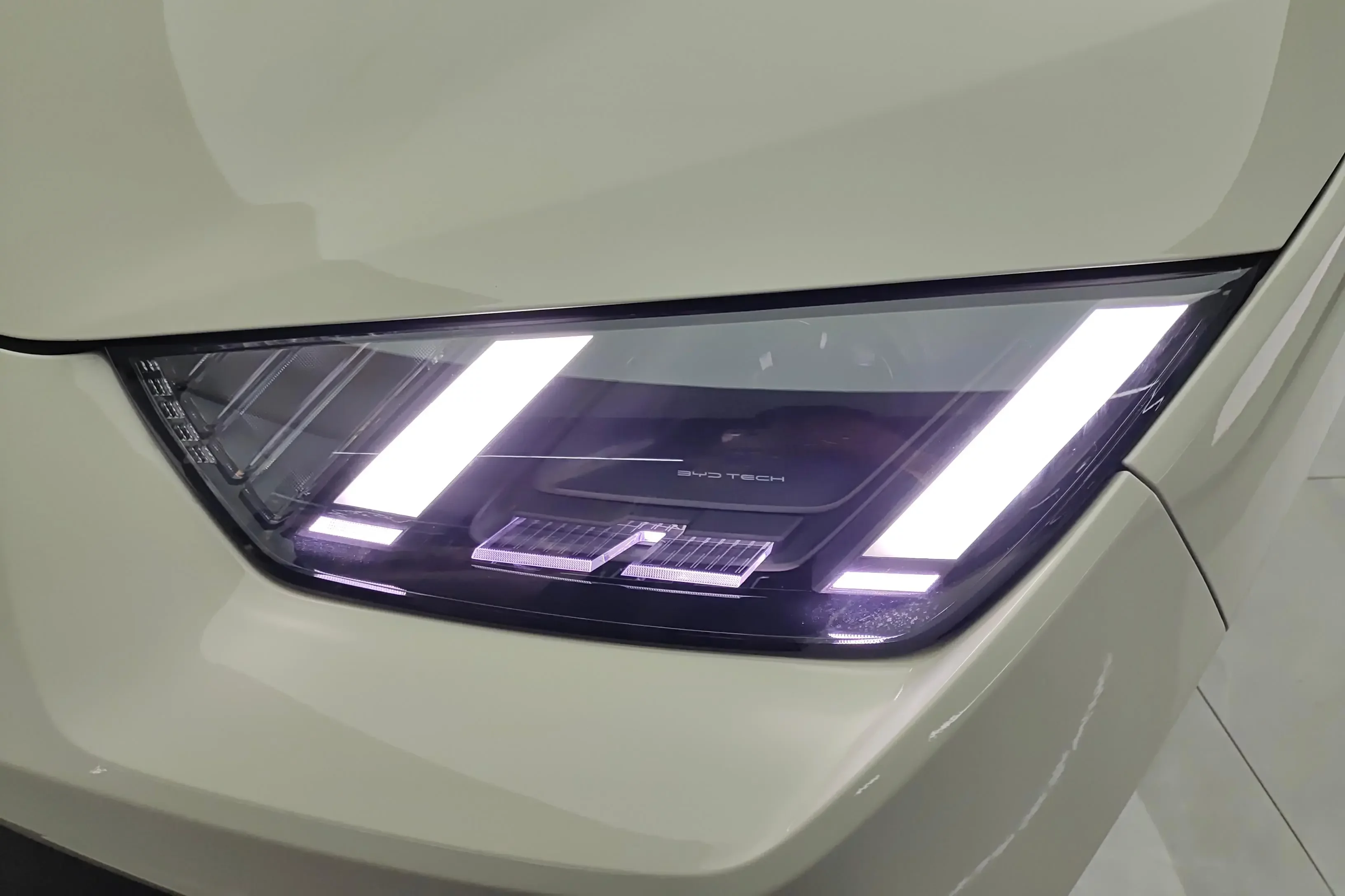 BYD seagull