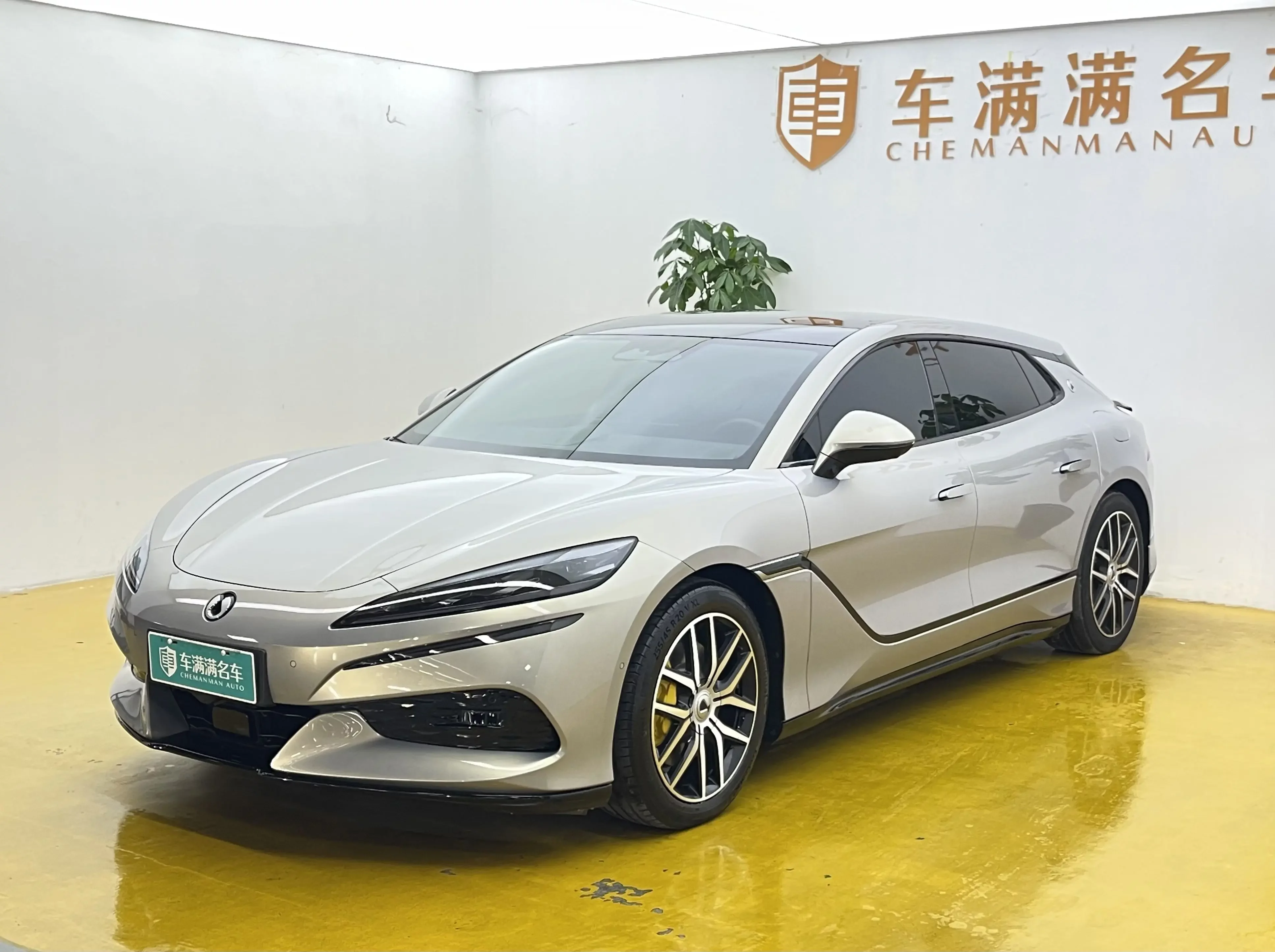 Denza BYD Z9GT EV