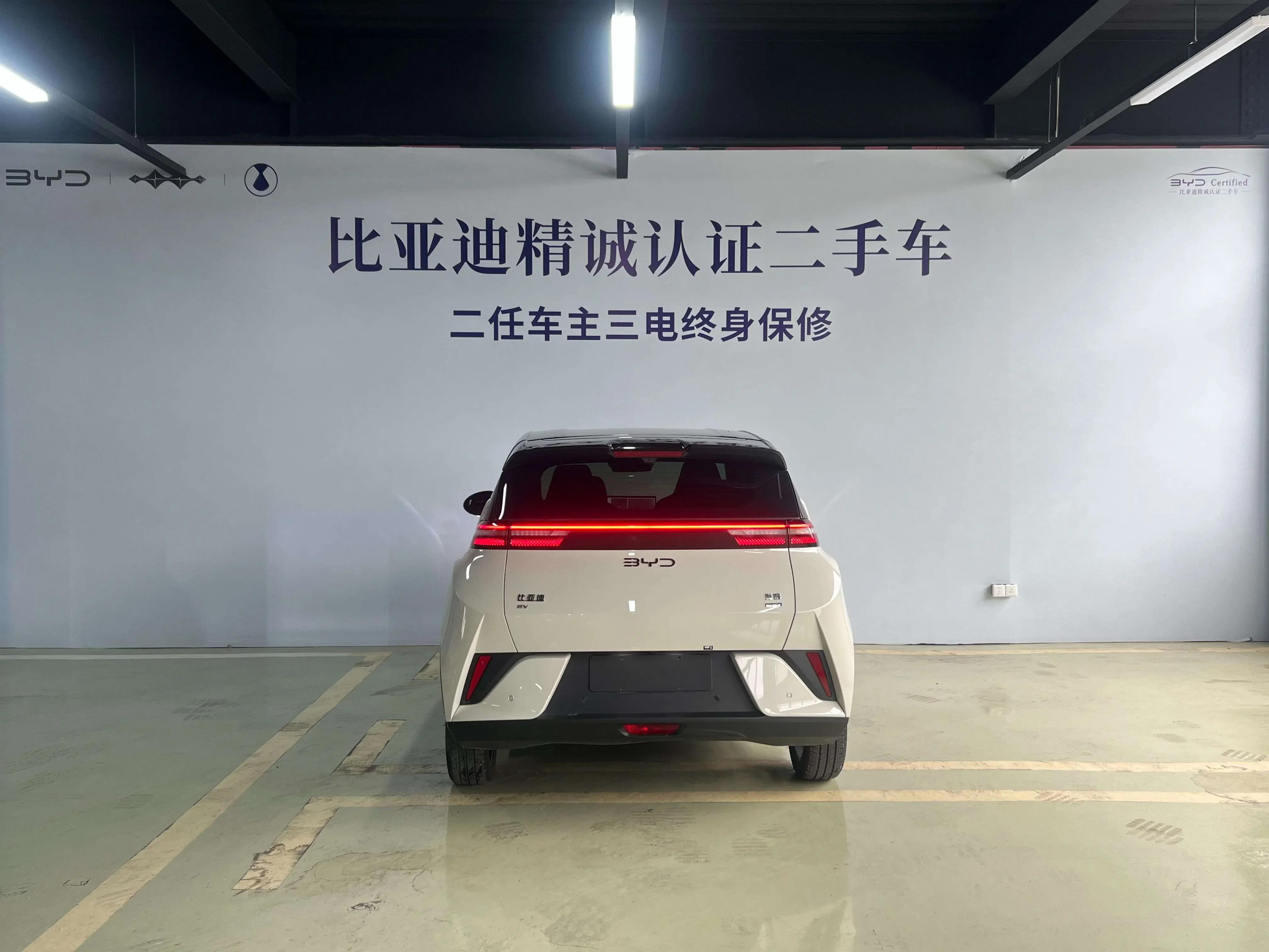 BYD seagull
