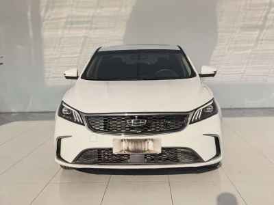 Geely Binrui
