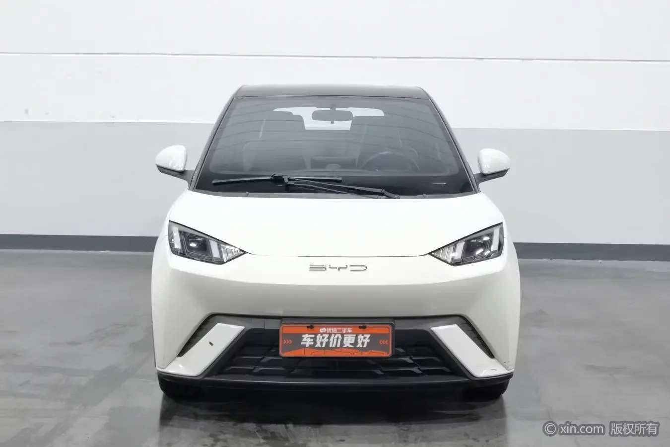 BYD seagull