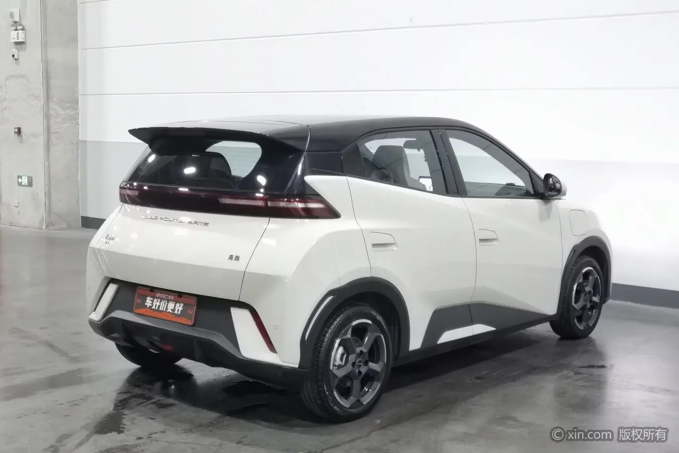BYD seagull