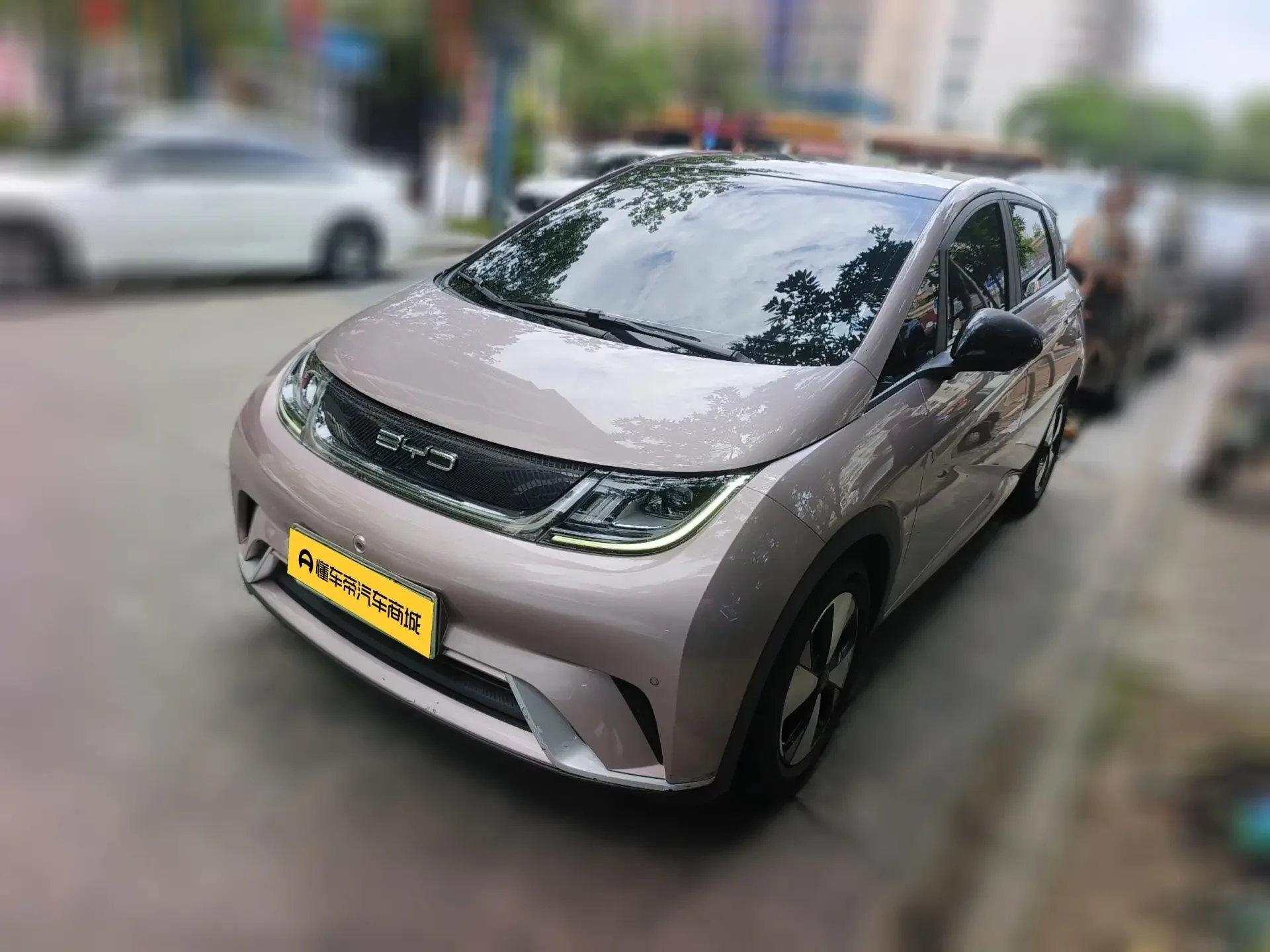 BYD dolphin