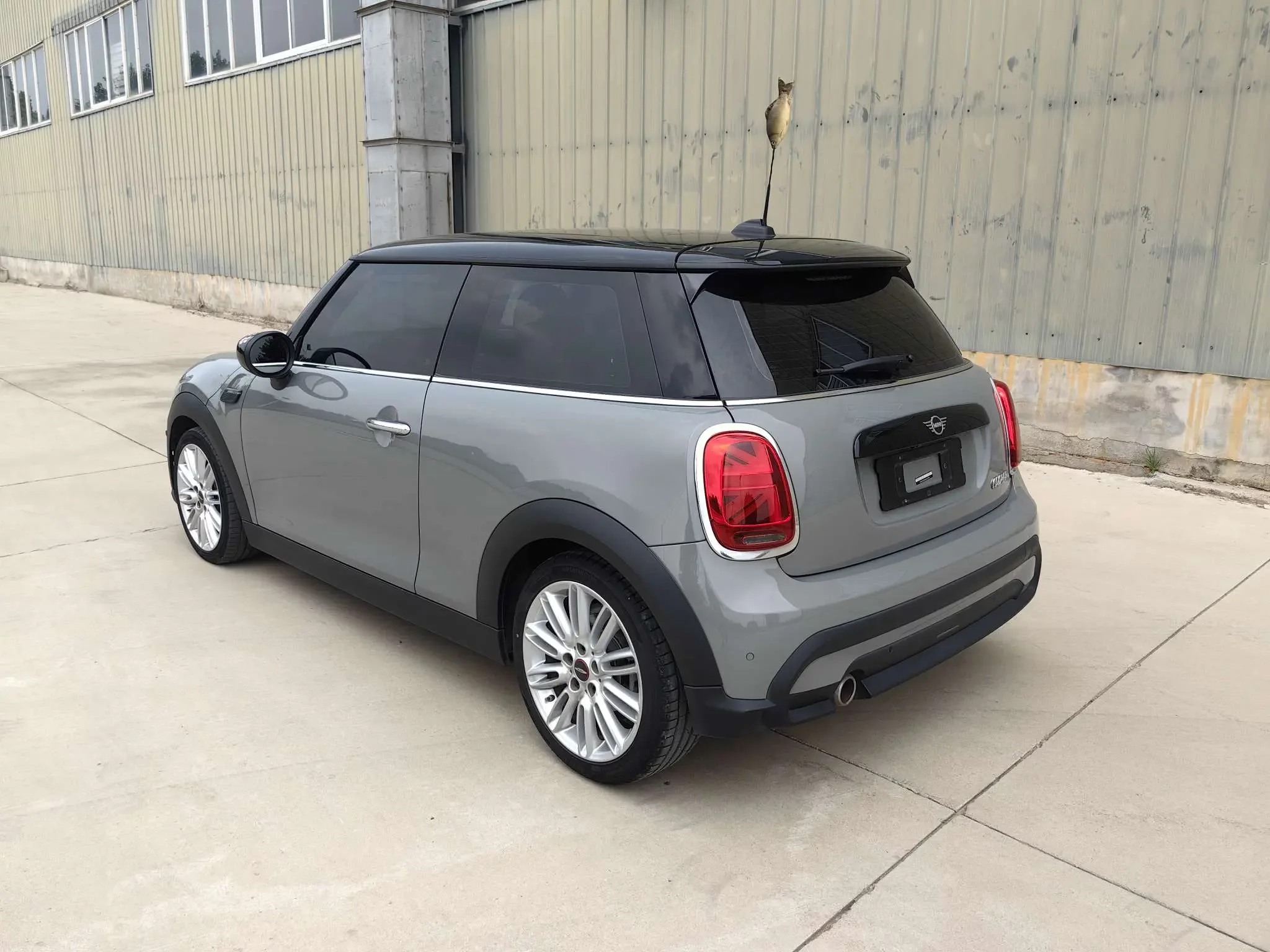 MINI MINI