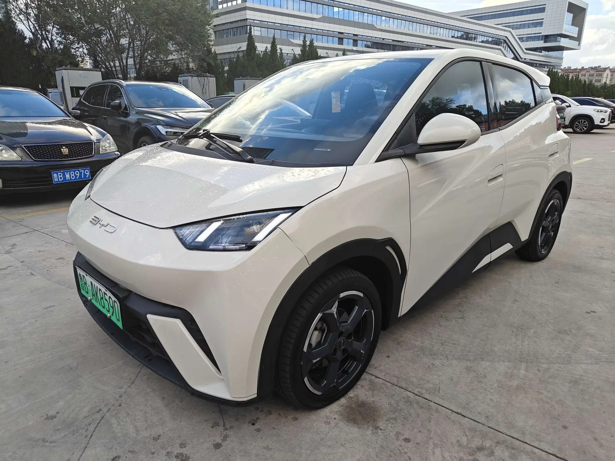 BYD seagull