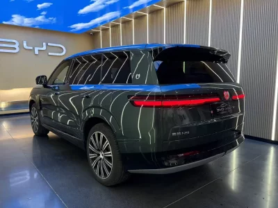 Denza Tengzhong N9 DM