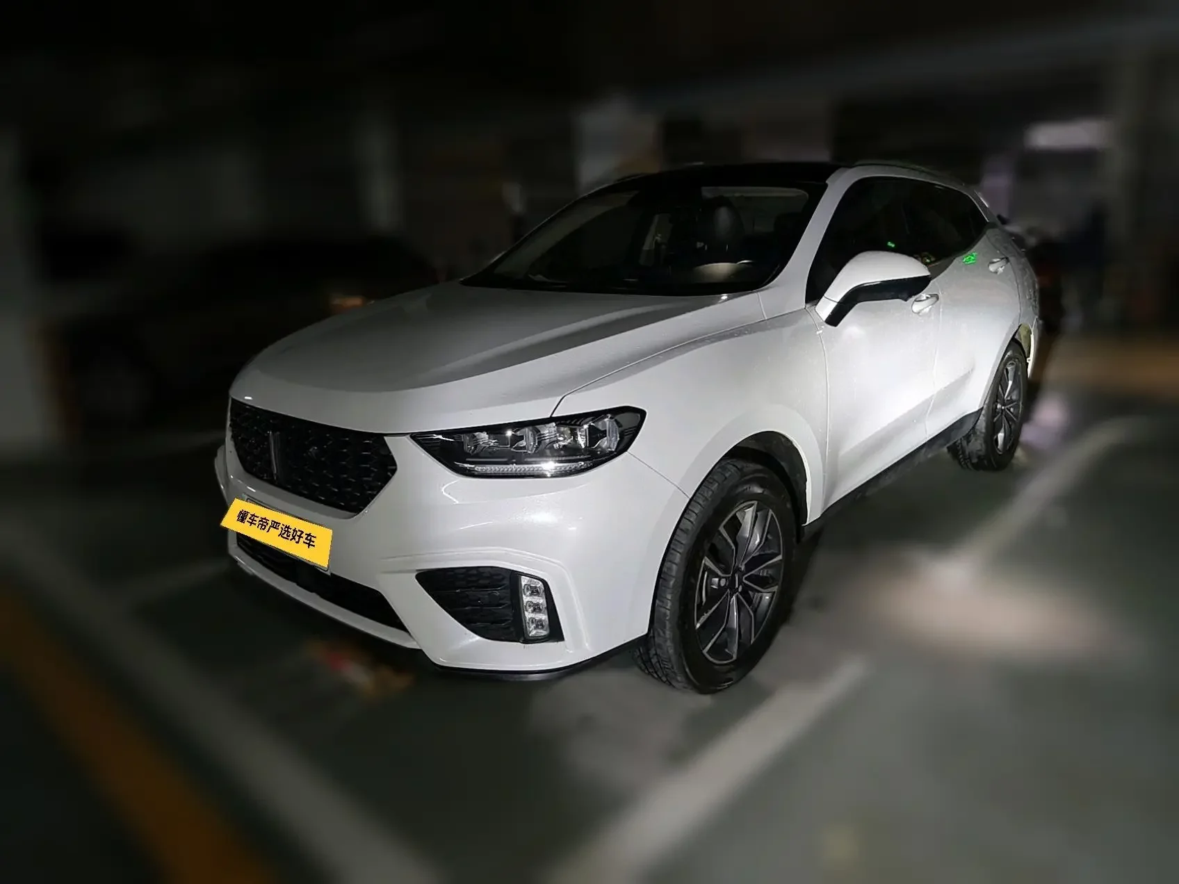 Wey Wei brand VV5