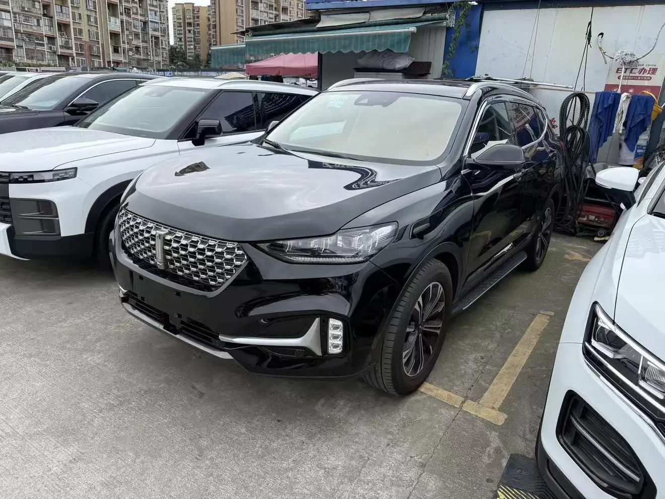 Wey Wei brand VV6