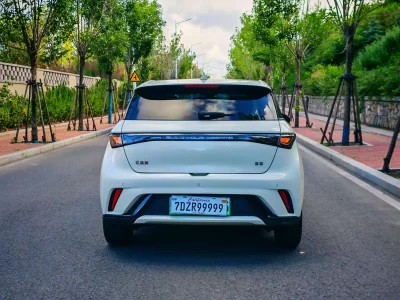 BYD Dolphin
