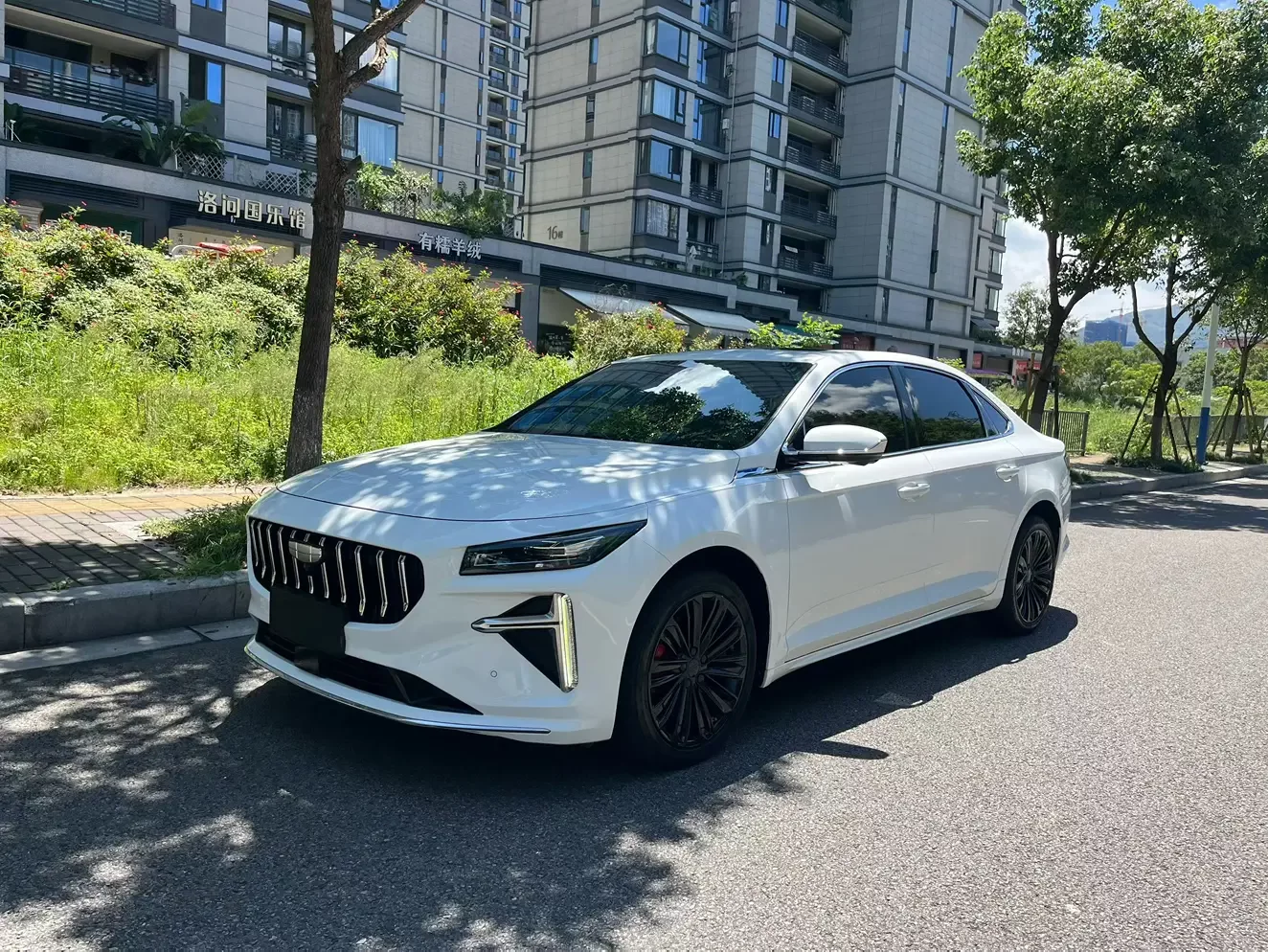 Geely Preface