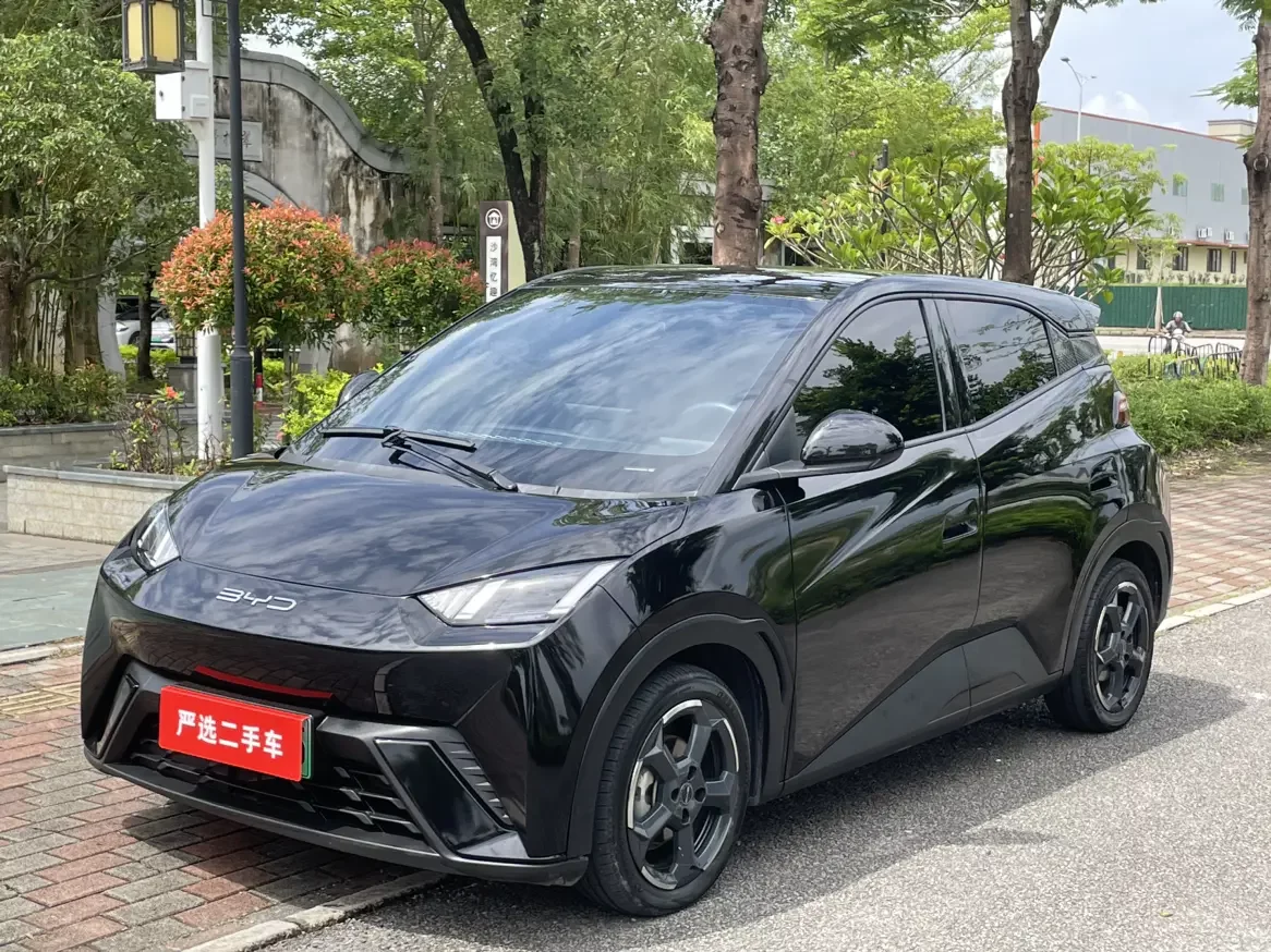 BYD SEAGULL