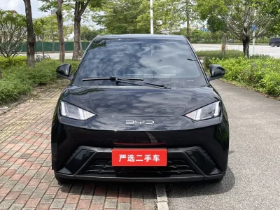 BYD Seagull