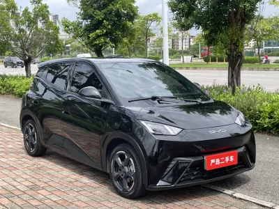 BYD Seagull