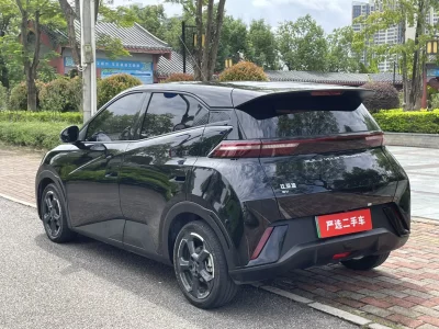 BYD Seagull