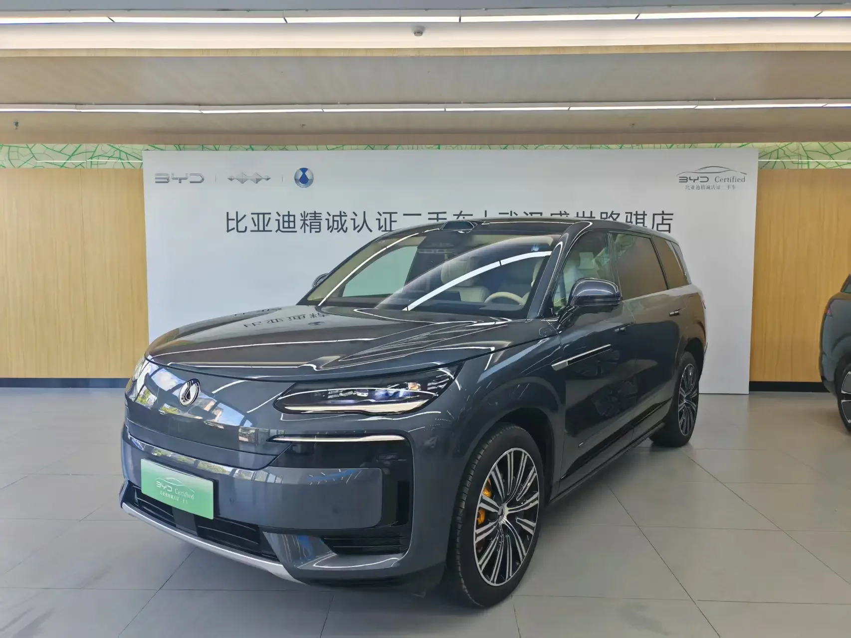Denza Tengzhong N9 DM
