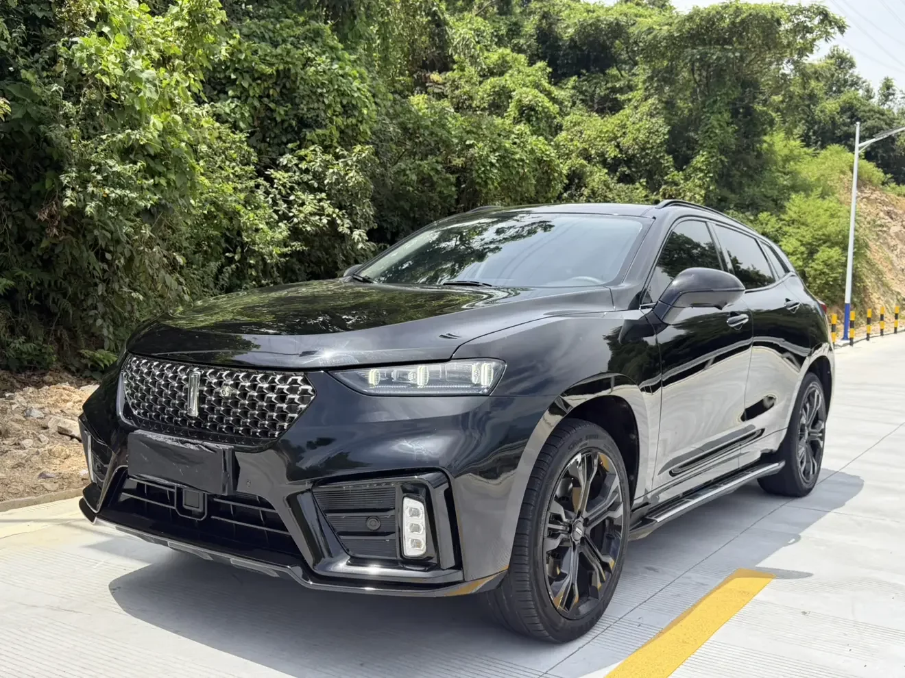 Wey Wei brand VV7