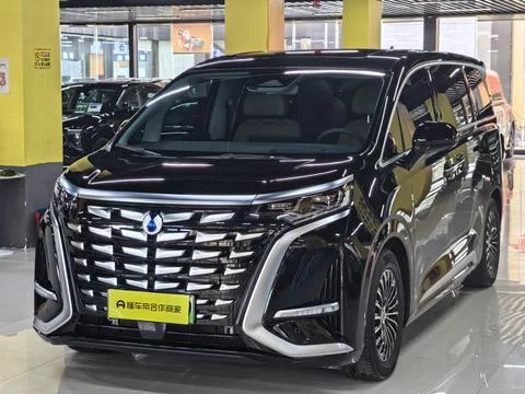 Denza D9 DM