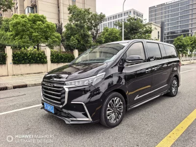 Datong Maxus G20