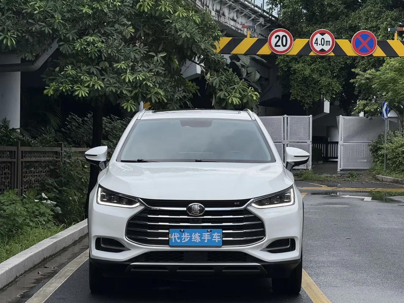 BYD Tang