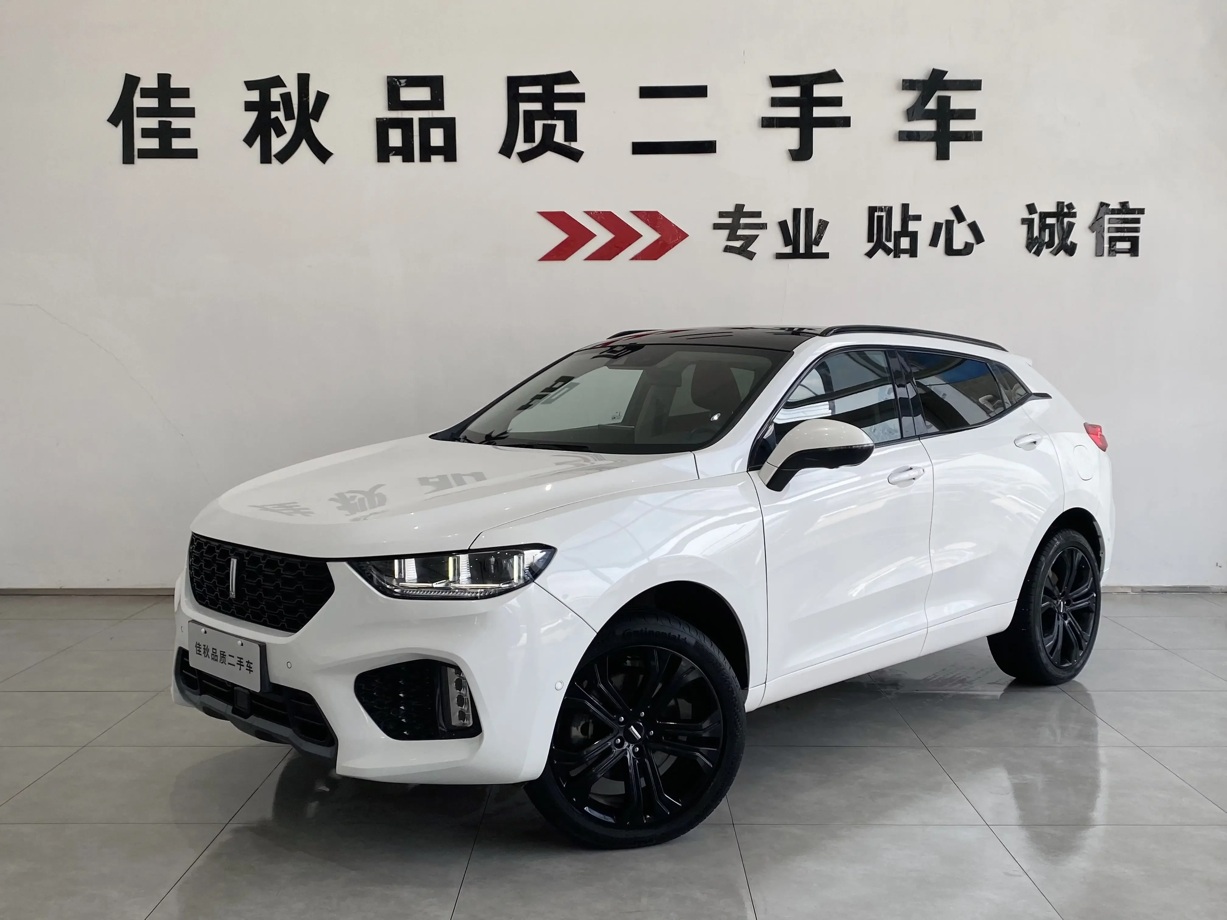 Wey Wei brand VV5