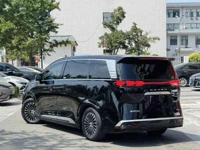 Denza D9 DM