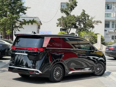 Denza D9 DM