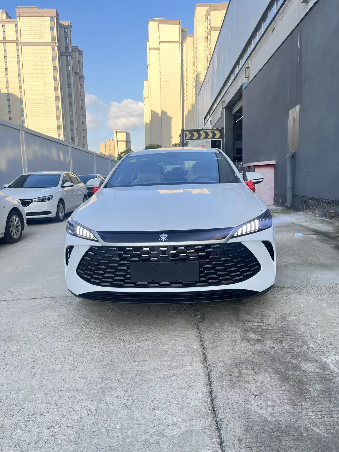 BYD Qin PLUS DM