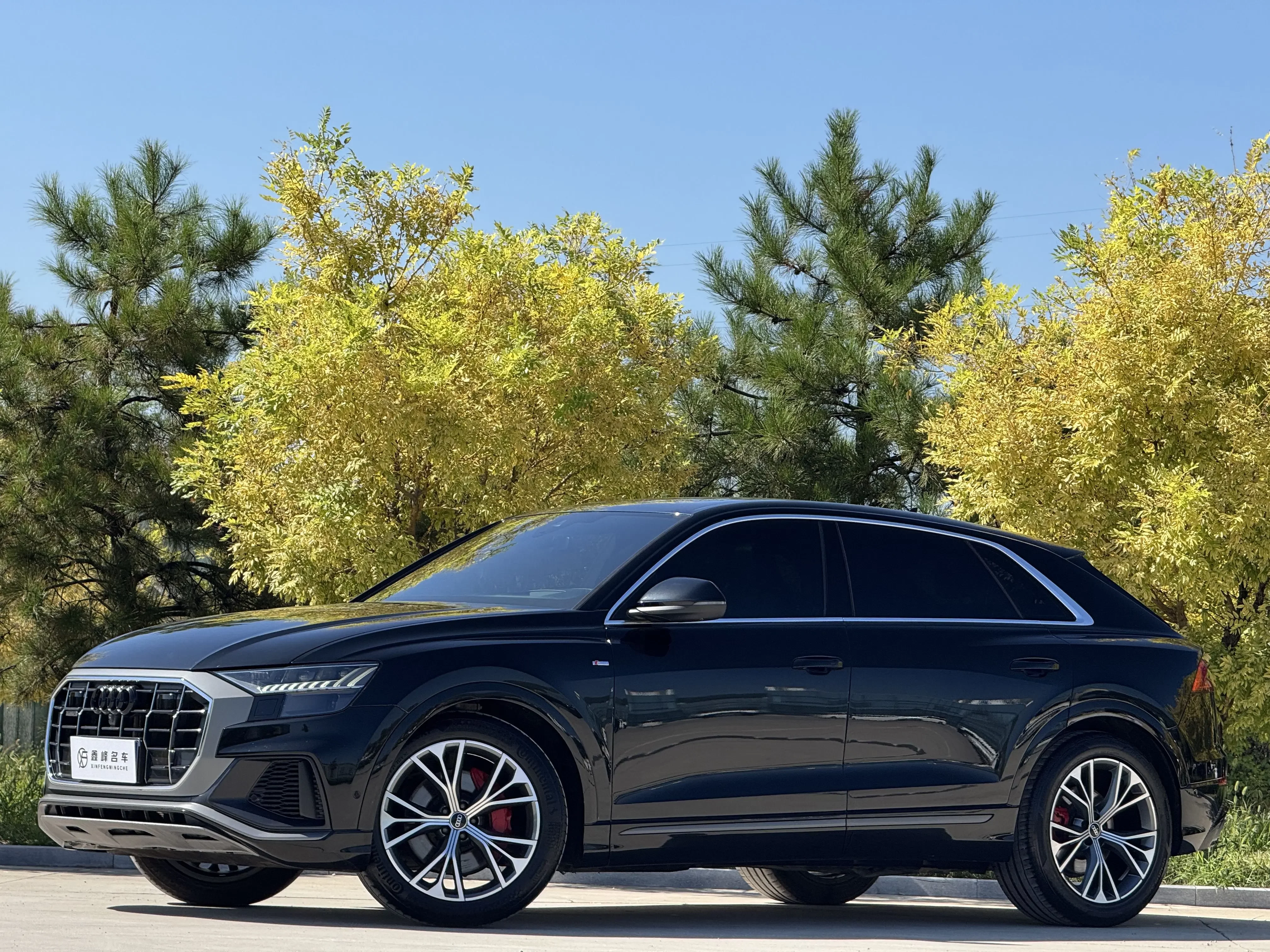 Audi Q8
