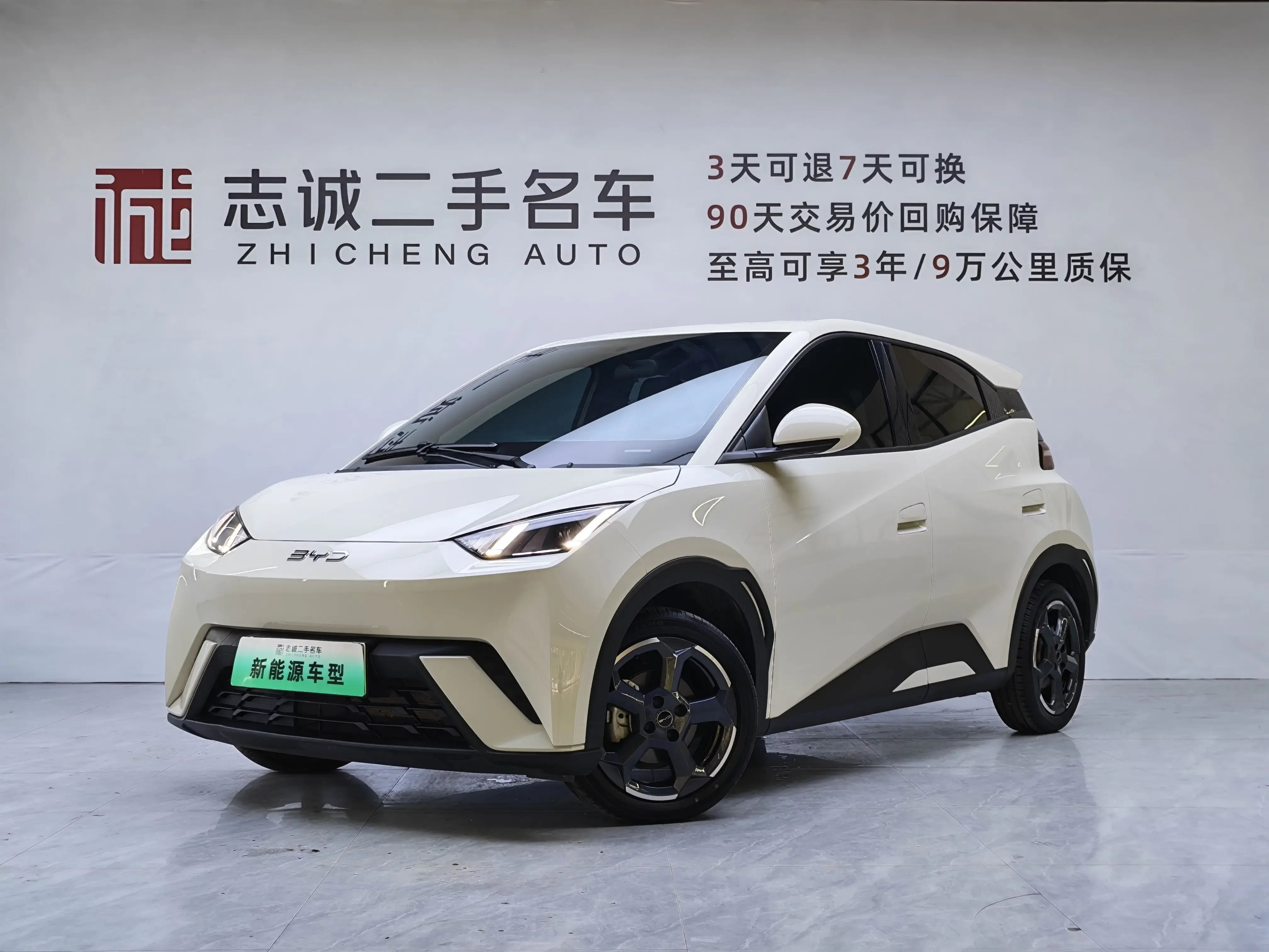 BYD seagull