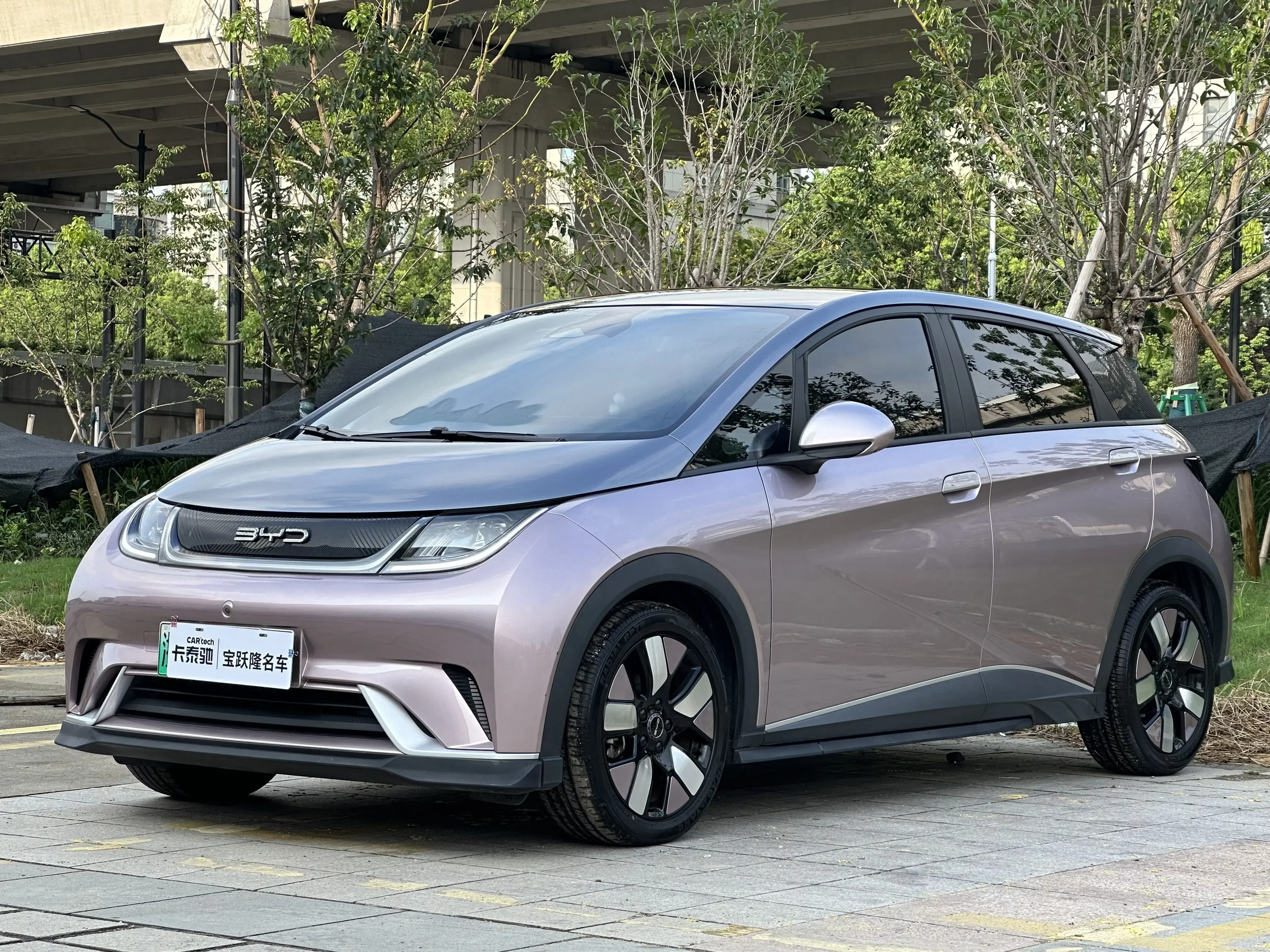 BYD dolphin