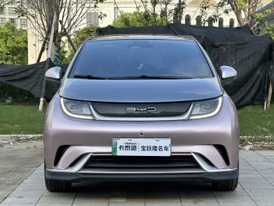 BYD Dolphin