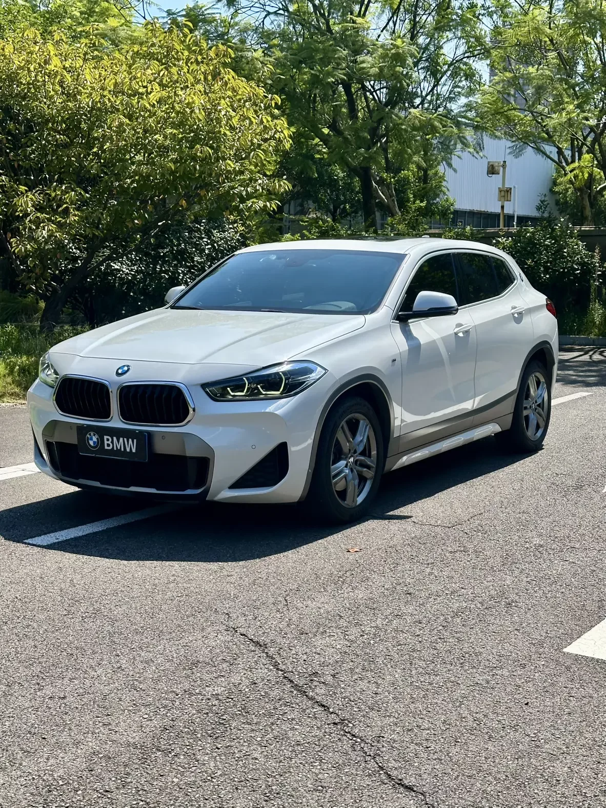 BMW X2