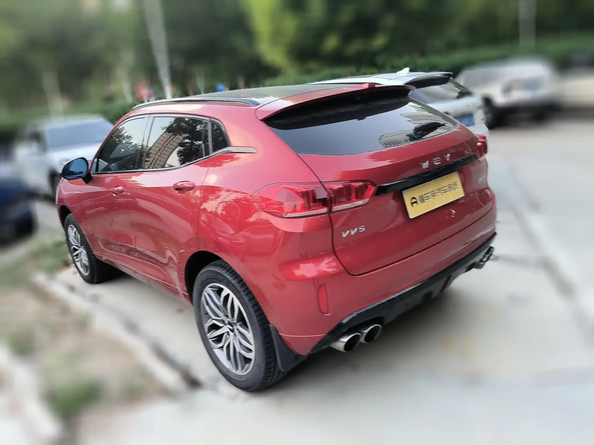 Wey Wei brand VV5