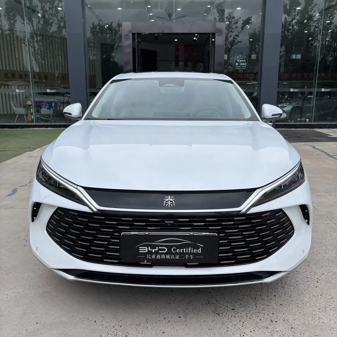 BYD Qin L DM
