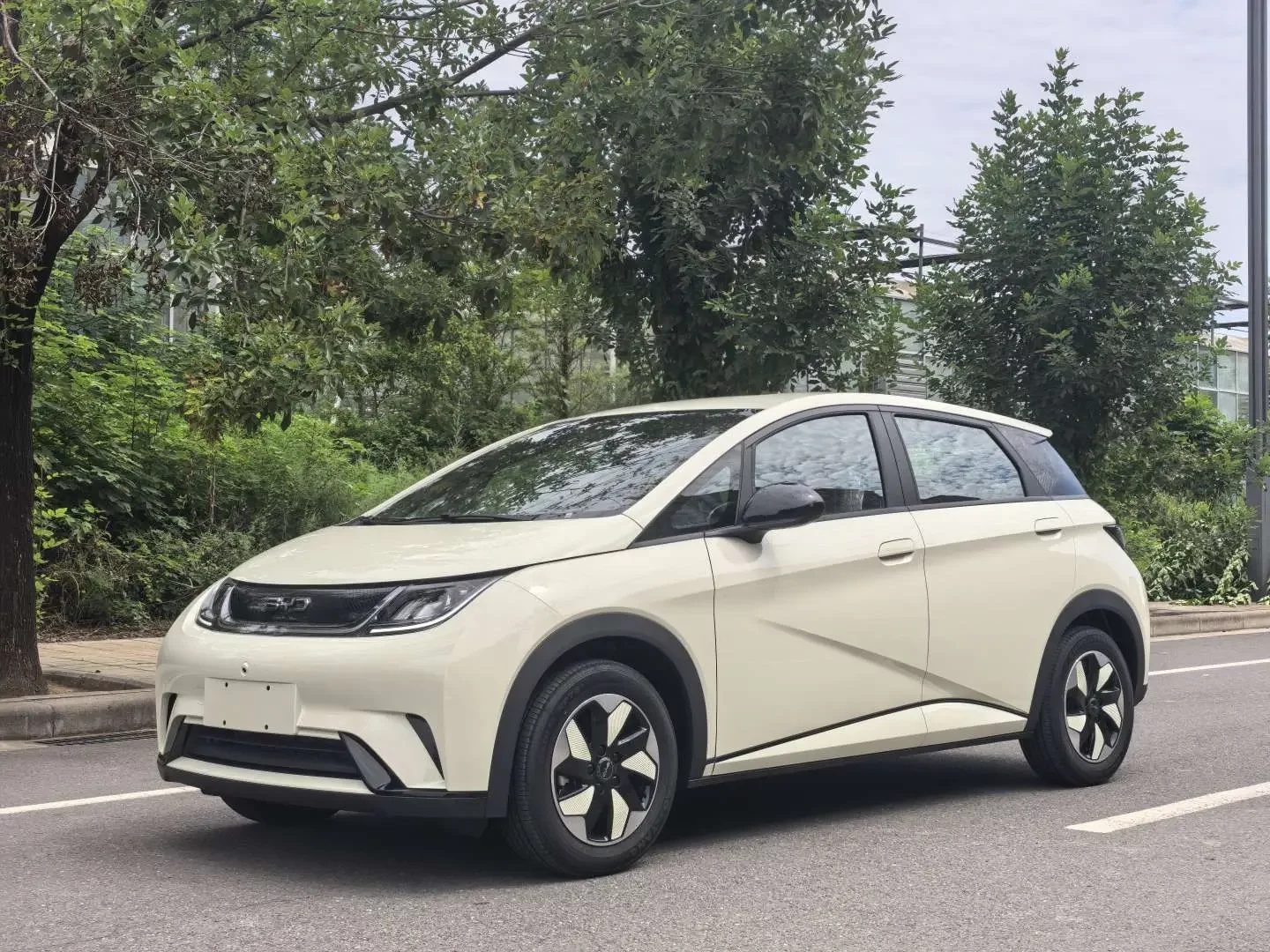 BYD Dolphin