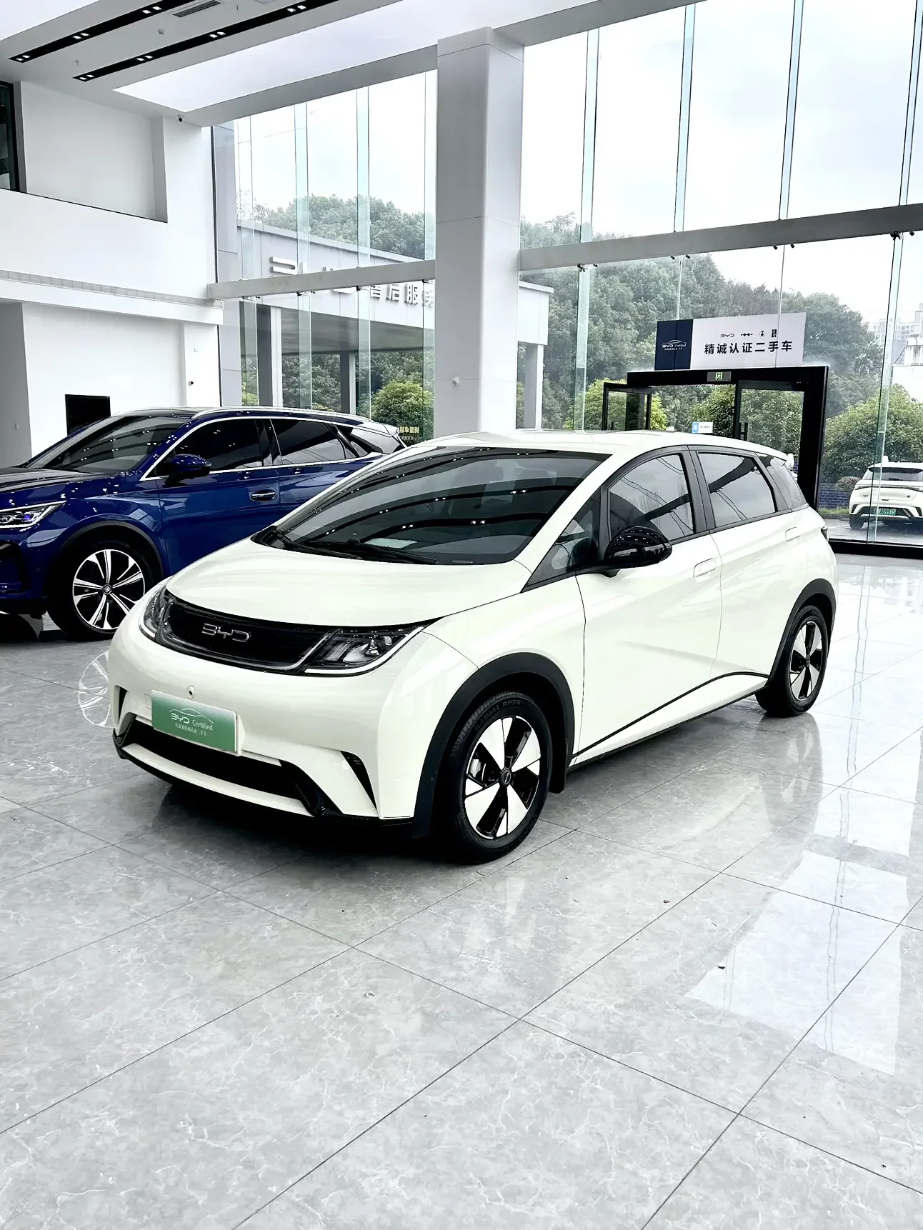 BYD Dolphin