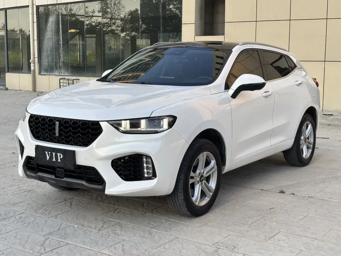 Wey Wei brand VV5