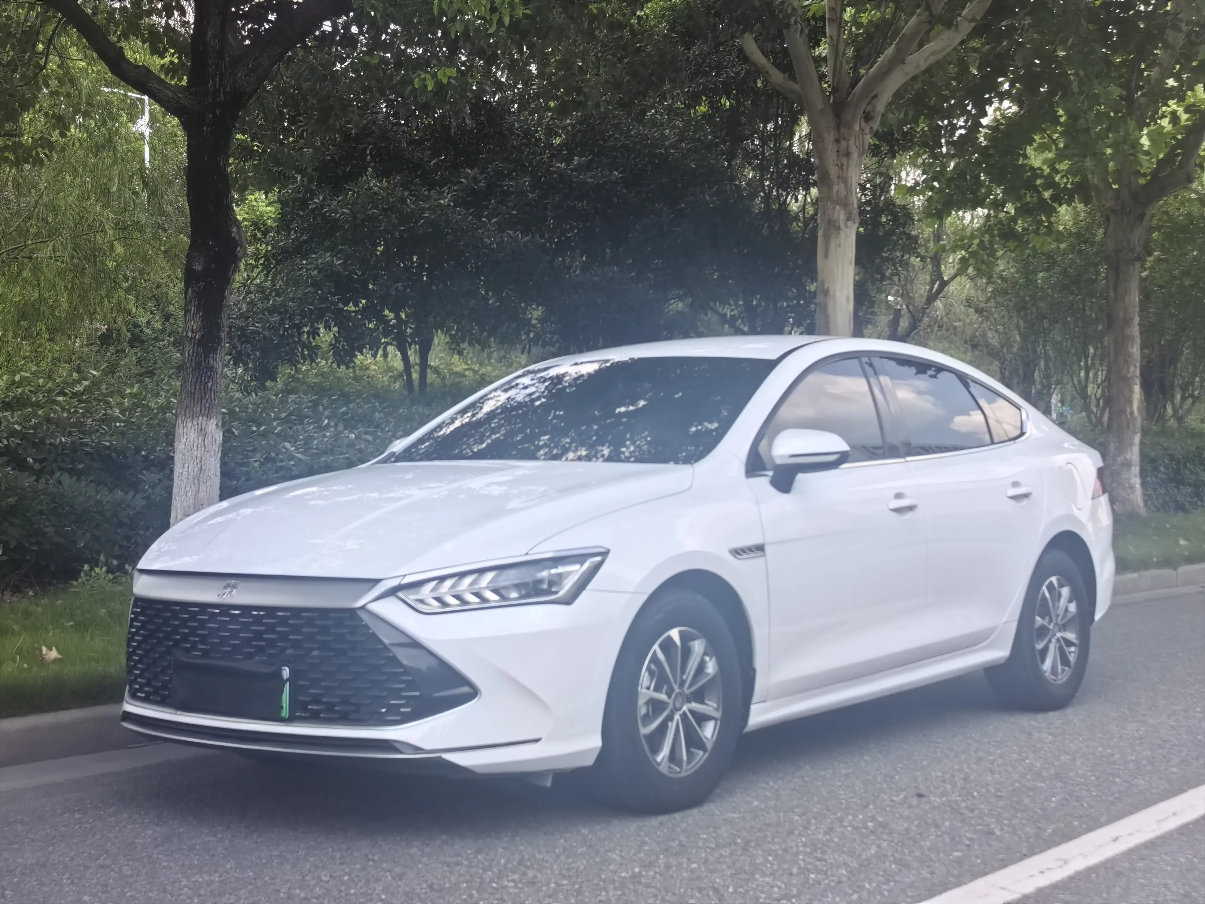BYD Qin PLUS DM