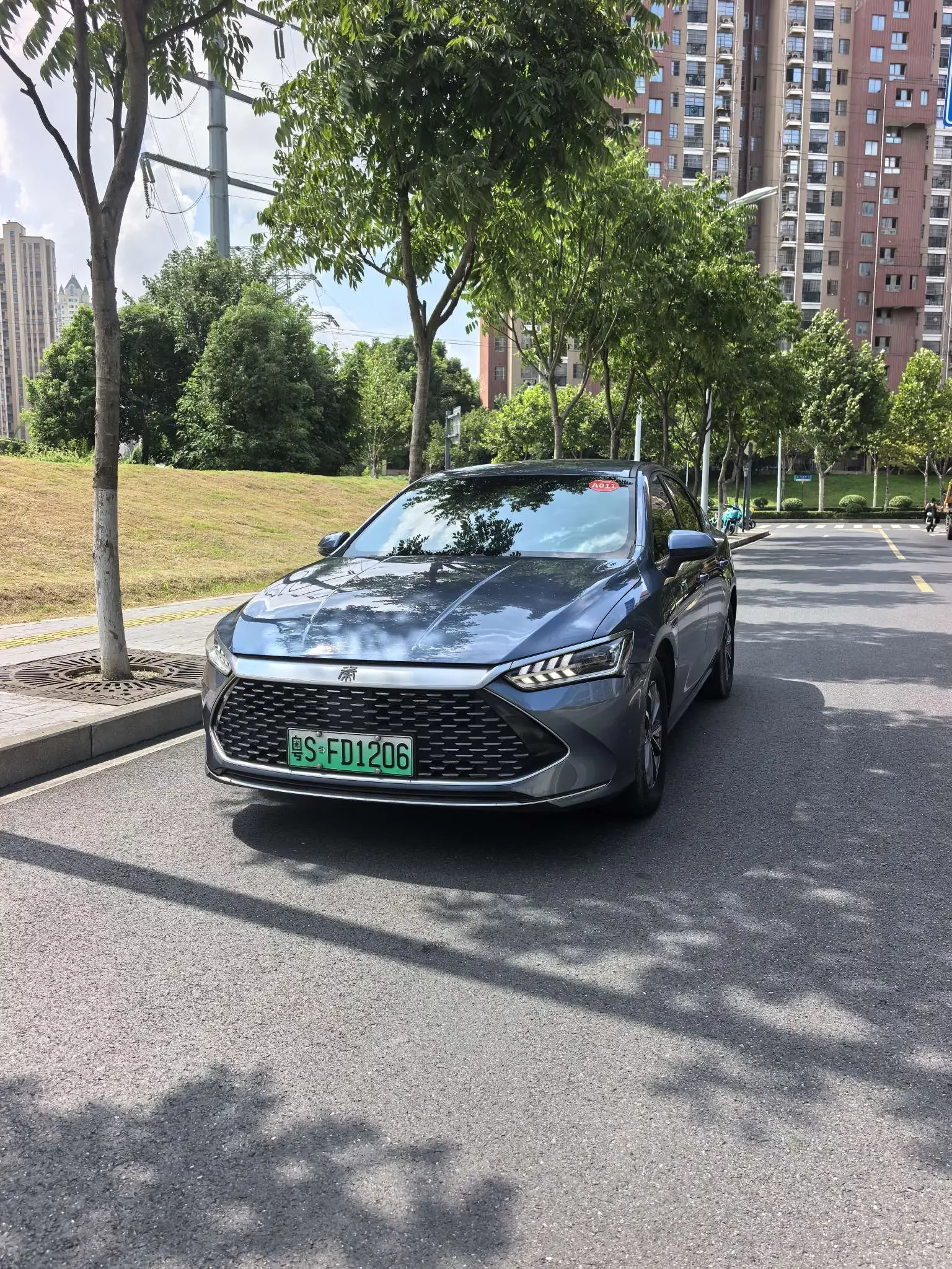 BYD Qin PLUS DM