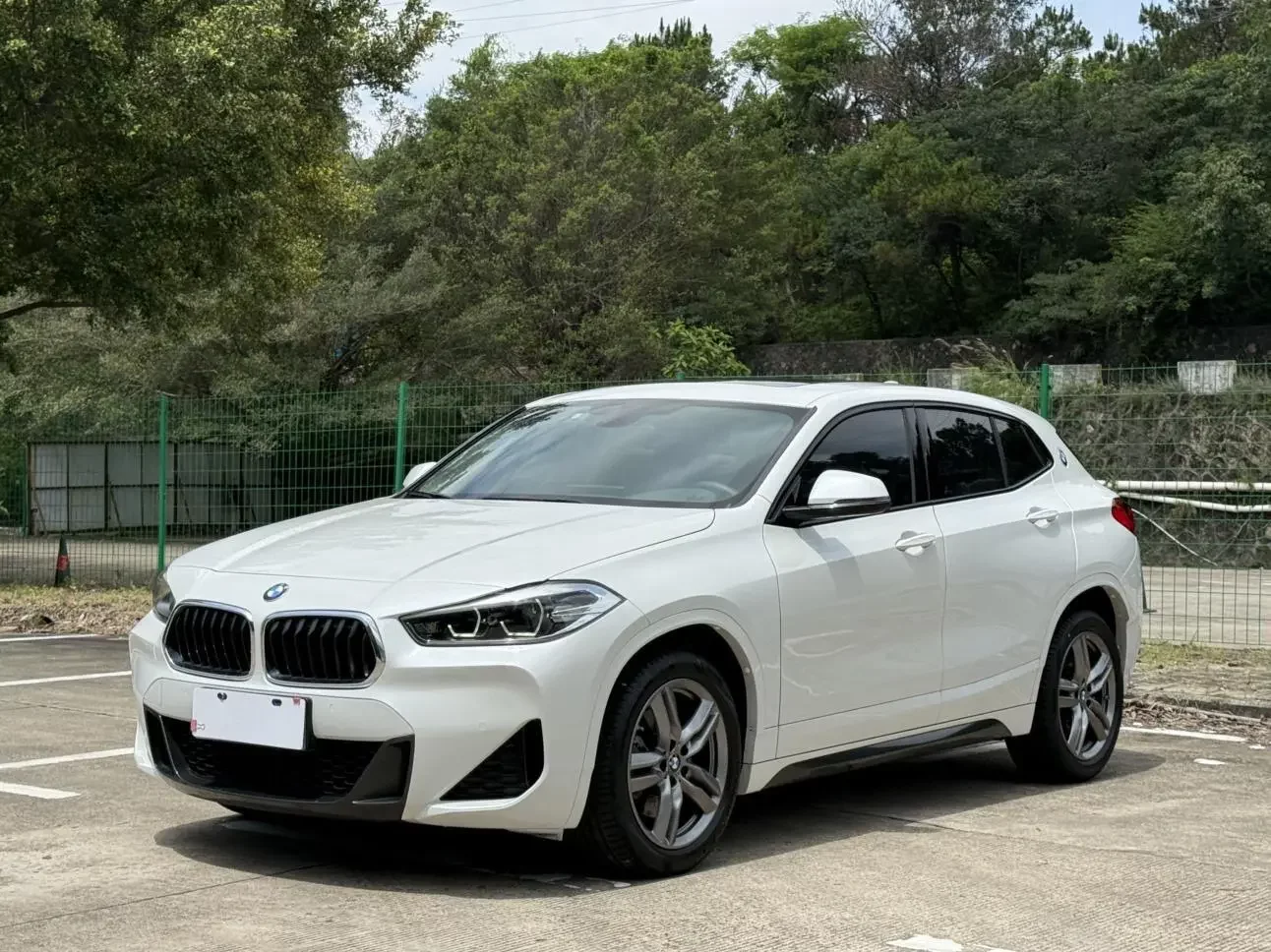 BMW X2