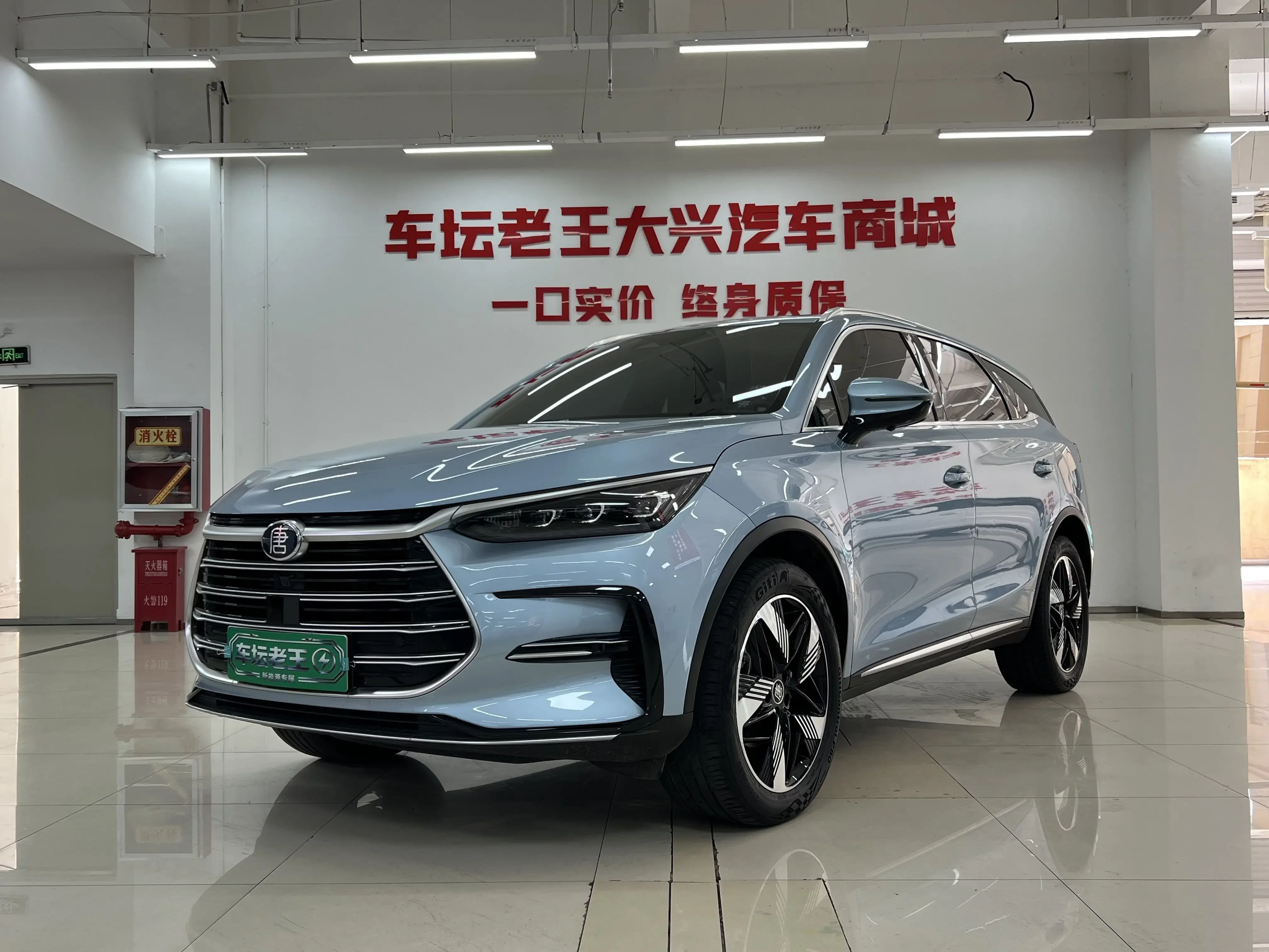 BYD Tang DM